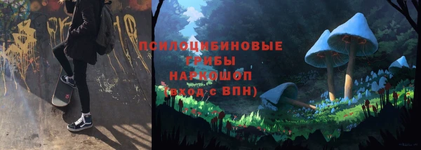 стафф Абинск