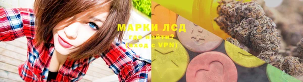 стафф Абинск