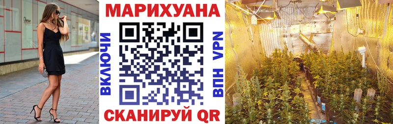Бошки марихуана планчик Новая Усмань
